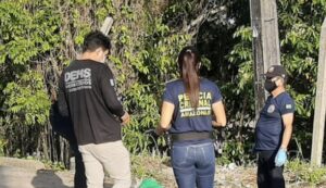 Read more about the article Imagens fortes: cabeça de mulher é encontrada no meio da rua, na zona norte de Manaus