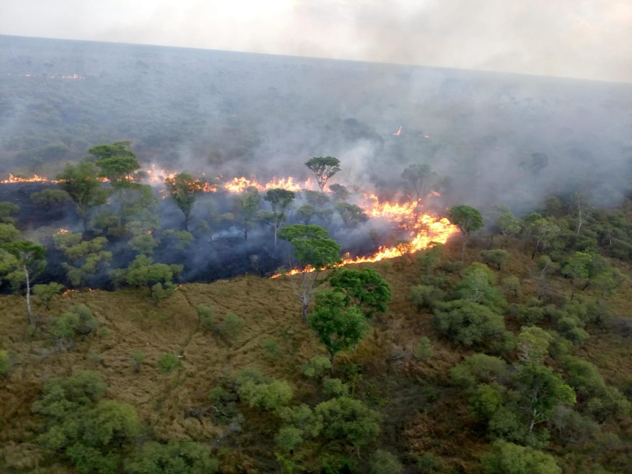 You are currently viewing Brigadas contratadas são insuficientes para proteger Terras Indígenas da Amazônia de incêndios florestais