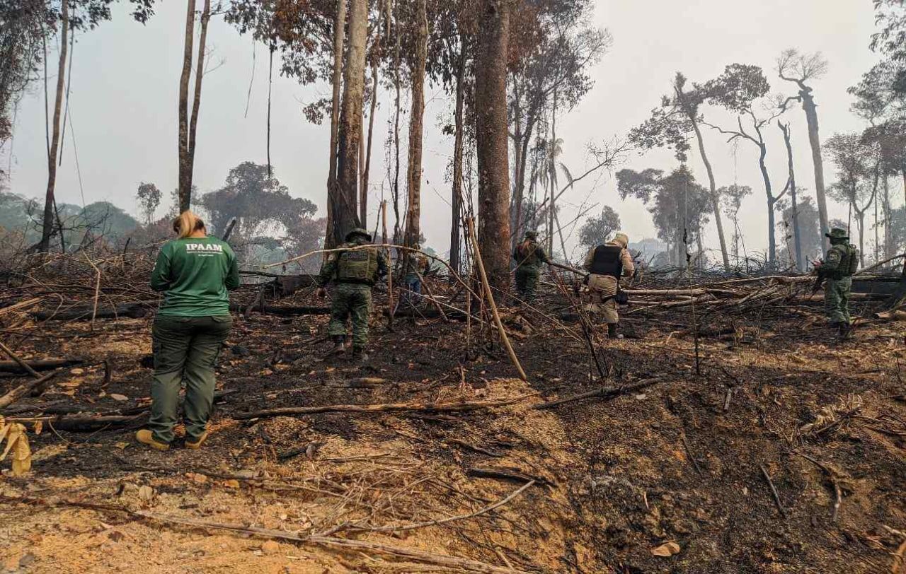 You are currently viewing Operação Tamoiotatá fiscaliza oito locais com registro de crimes ambientais em Apuí e Humaitá