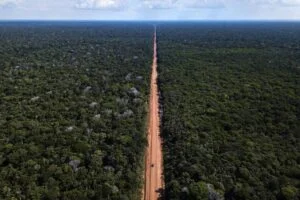 Leia mais sobre o artigo Justiça Federal suspende audiências públicas sobre licenciamento da BR-319