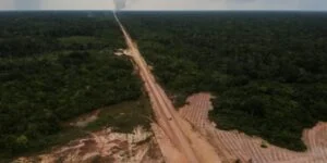 Leia mais sobre o artigo Obras da BR-319 devem ser suspensas até que povos indígenas e tradicionais sejam consultados, recomenda MPF