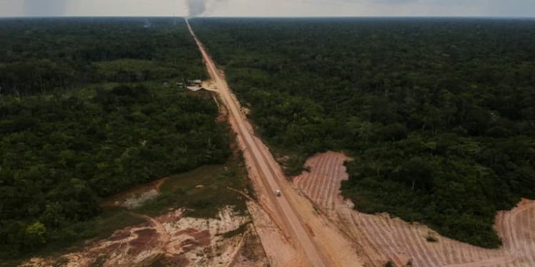 You are currently viewing Obras da BR-319 devem ser suspensas até que povos indígenas e tradicionais sejam consultados, recomenda MPF