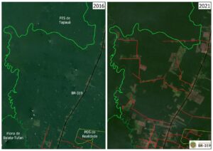 Read more about the article Desmatamento e queimadas no sul do Amazonas agravam cenário na área de influência da BR-319