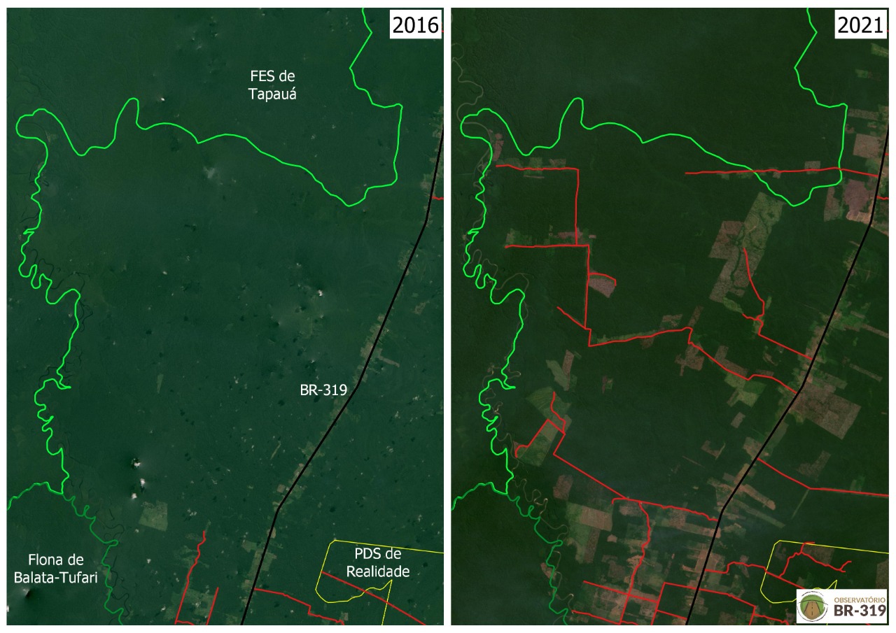 You are currently viewing Desmatamento e queimadas no sul do Amazonas agravam cenário na área de influência da BR-319