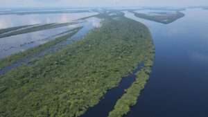 Read more about the article Amazonas está apto a receber apoio financeiro pela redução das emissões de gases de efeito estufa