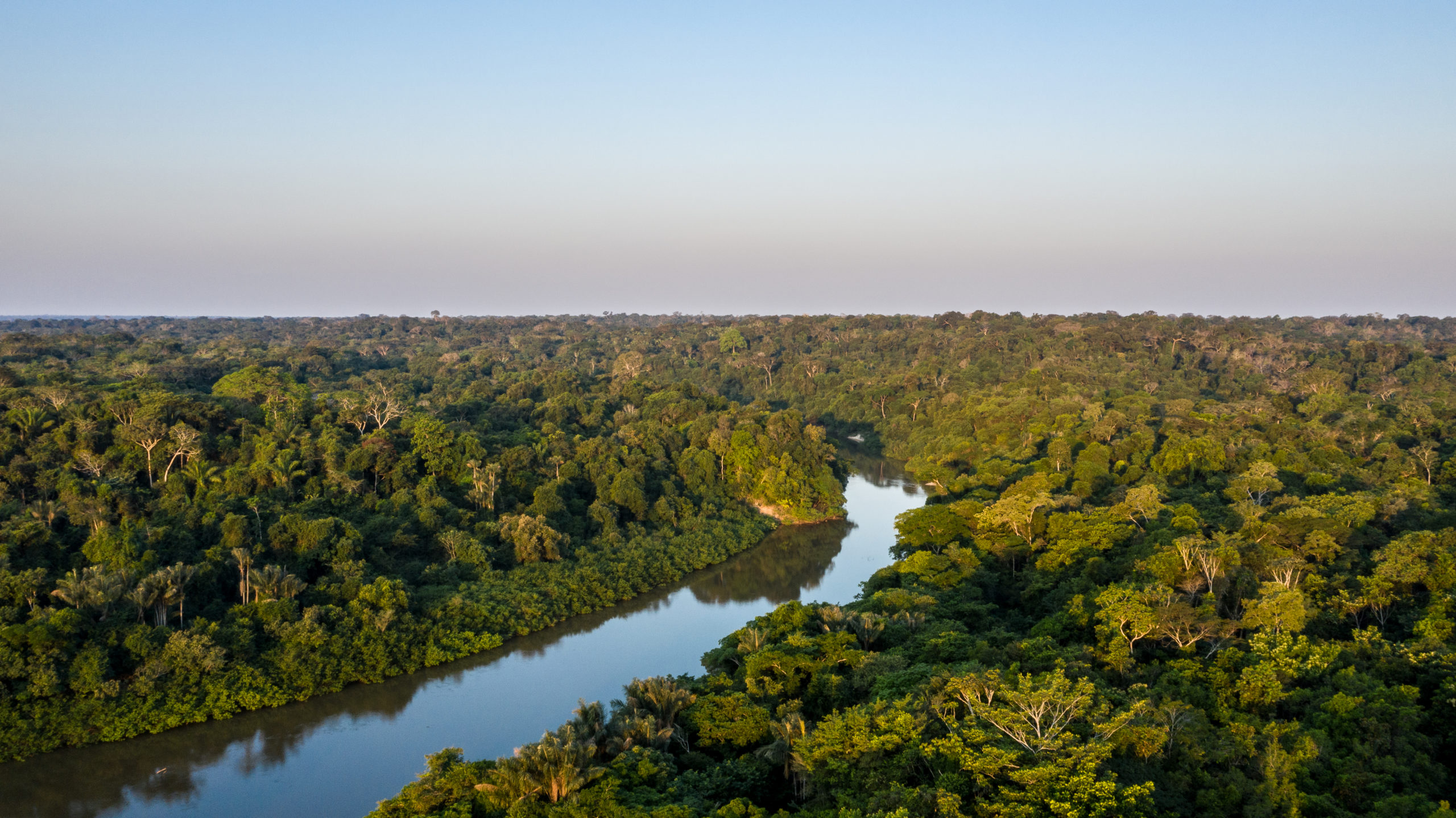 You are currently viewing Governadores assinam carta que pressiona aprovação de PL sobre mercado de carbono e ações pré COP26