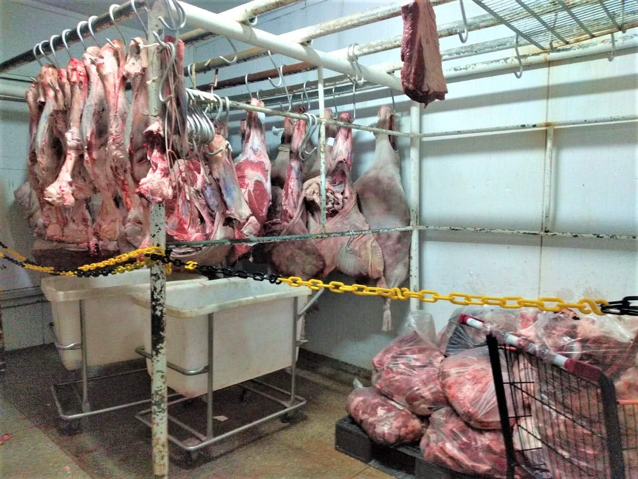 You are currently viewing Em Manaus Vigilância Sanitária apreende 1,6 tonelada de carne bovina com validade vencida em supermercado da zona Centro-Sul da capital