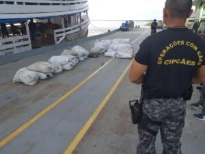 Leia mais sobre o artigo Base Arpão apreende 2,5 toneladas de pescado ilegal
