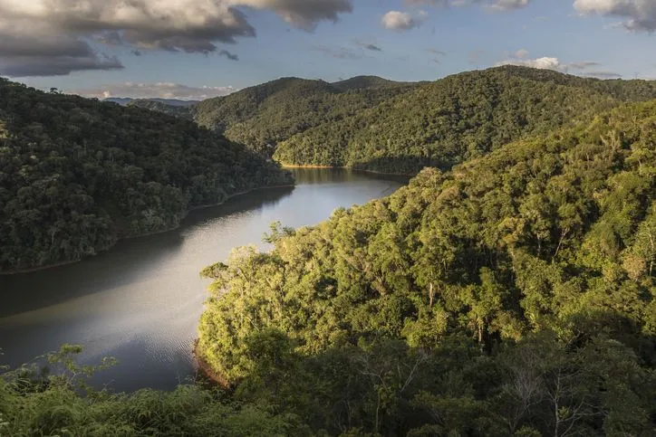 You are currently viewing Proteção da Mata Atlântica recebe reconhecimento da ONU