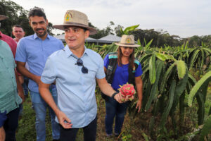 Read more about the article Prefeitura de Manaus fomenta o cultivo da pitaya com a perspectiva de consolidar a produção no cinturão verde da capital