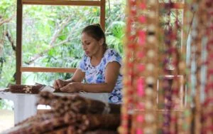 Leia mais sobre o artigo Governo do Amazonas garante 13 milhões de euros para execução de projeto pelo Fundo Floresta