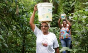 Read more about the article Comunidade quilombola que pediu socorro a Lula sofre sem direitos