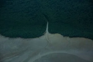Leia mais sobre o artigo Licença negada: Petrobras encontra oposição do Ibama para exploração de petróleo na Amazônia