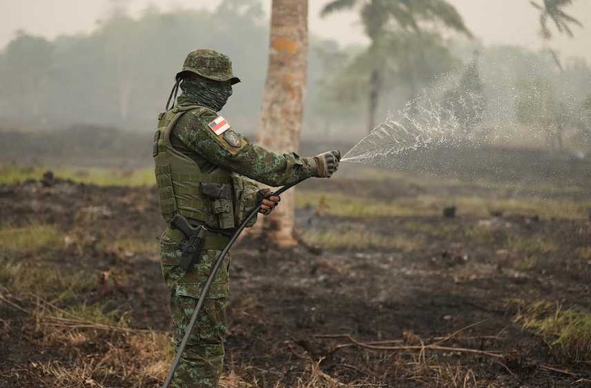You are currently viewing PMAM detém 83 pessoas em ações da força-tarefa contra crimes ambientais