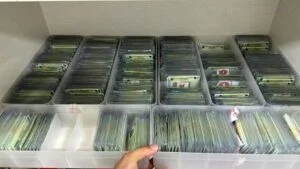 Leia mais sobre o artigo SSP/AM informa que 18 mil Carteiras de Identidade Nacional (CIN) estão à espera dos solicitantes nos PACs