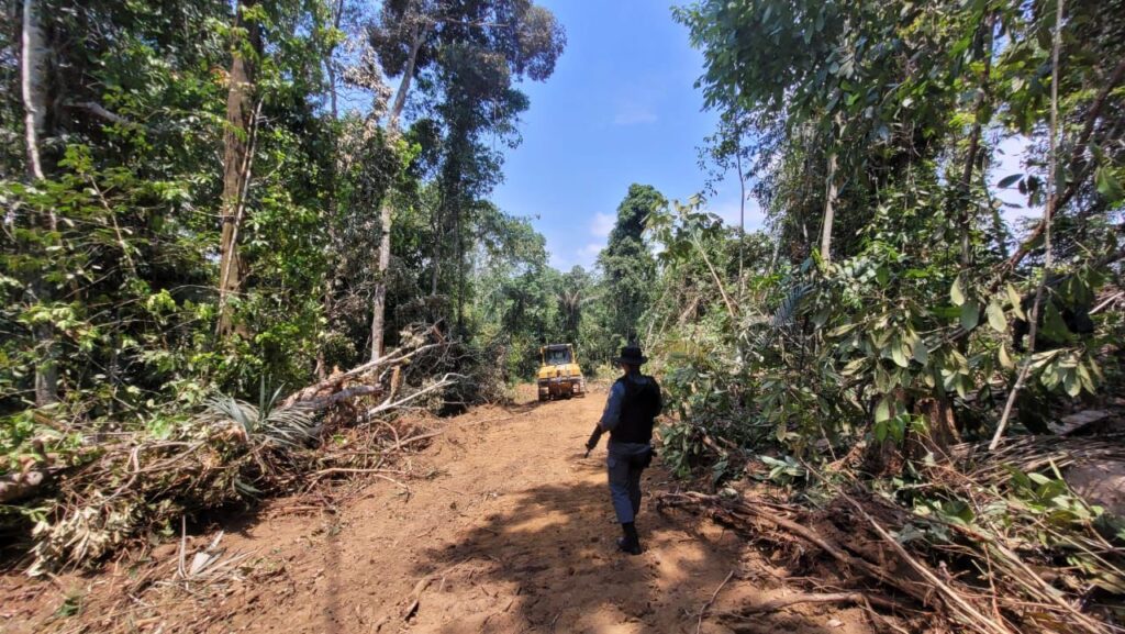 PMAM detém 83 pessoas em ações da força-tarefa contra crimes ambientais 2