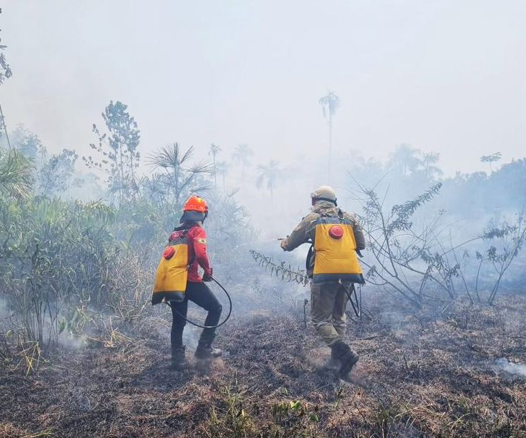 You are currently viewing Aceiro 2023: Operação já combateu 2.074 incêndios no interior do estado