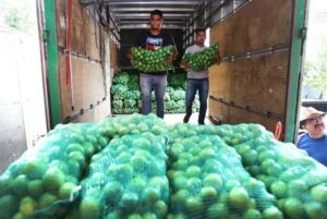 Leia mais sobre o artigo Governo do Amazonas ultrapassa metas do Programa Nacional de Alimentação Escolar e fortalece a agricultura familiar