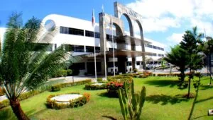 Leia mais sobre o artigo CMM promove campanha para cuidados com a saúde mental em alusão ao Janeiro Branco