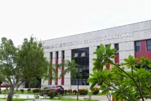 Leia mais sobre o artigo STF confirma autonomia dos Tribunais de Contas para condenar gestores em irregularidades