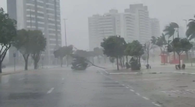 You are currently viewing Prefeitura de Manaus registra seis ocorrências e reforça recomendações durante chuvas na cidade