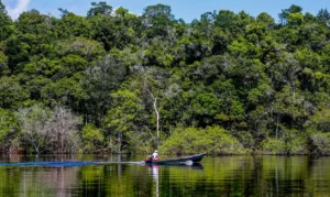 Read more about the article Hepatite Delta avança entre ribeirinhos no Amazonas