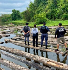 Read more about the article Polícias Civil e Militar apreendem 600 toras de madeira ilegal no rio Purus em Beruri