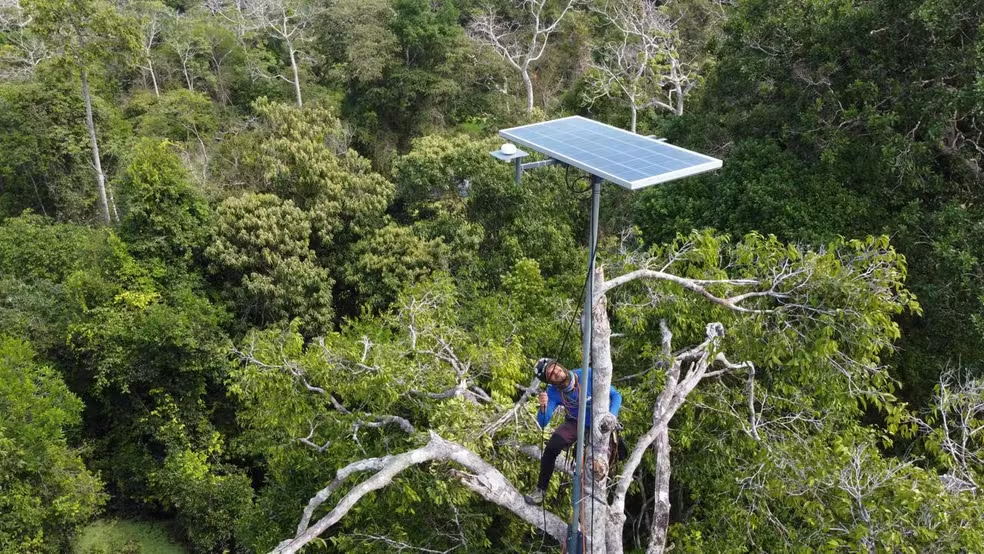 You are currently viewing Projeto brasileiro finalista em prêmio internacional quer monitorar biodiversidade amazônica com IA
