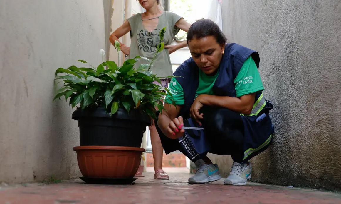 Brasil ultrapassa 4 mil mortes por dengue em 2024