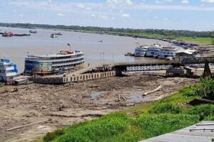 Read more about the article Isolados pela seca: falta de alimentos e gasolina a R$ 20 são realidade no interior do Amazonas