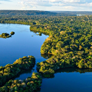 Amazônia: concessões florestais como estratégia de combate ao desmatamento