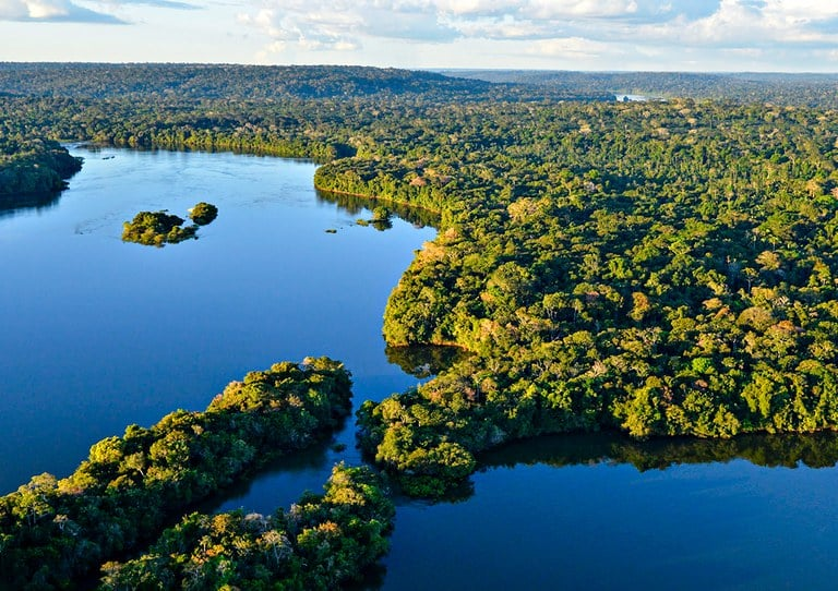 You are currently viewing Amazônia: concessões florestais como estratégia de combate ao desmatamento