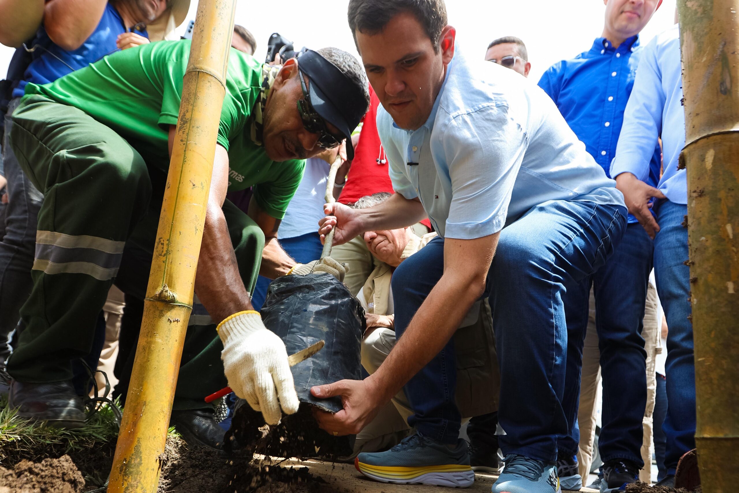 You are currently viewing Prefeitura anuncia plantio de 15 mil mudas em 2025 como parte do Plano de Arborização de Manaus