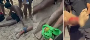 Leia mais sobre o artigo Banhistas no Rio de Janeiro são atacados por cardume de peixe-espada