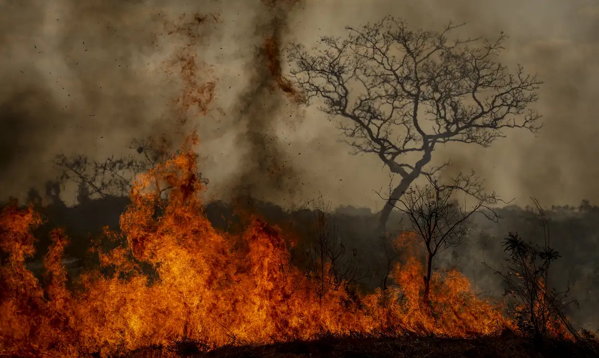 You are currently viewing Crise climática intensifica problemas globais, alerta pesquisadora