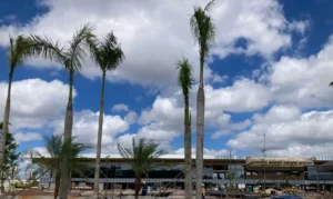 Read more about the article A 200 dias da COP30, Belém está com 78% das estruturas concluídas