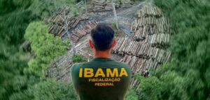 Read more about the article Ibama terá R$ 825,7 milhões para combater desmatamento ilegal na Amazônia
