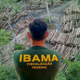 Ibama terá R$ 825,7 milhões para combater desmatamento ilegal na Amazônia