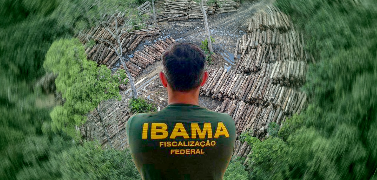 You are currently viewing Ibama terá R$ 825,7 milhões para combater desmatamento ilegal na Amazônia