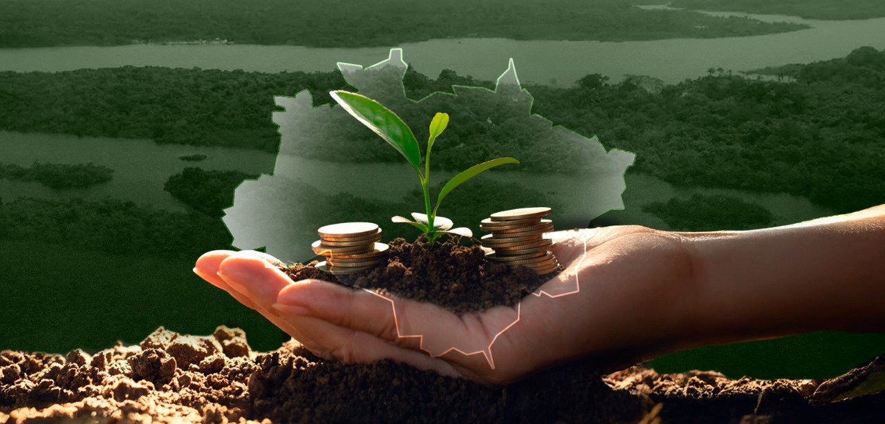 You are currently viewing Amazônia Legal recebe R$ 1,1 bilhão para impulsionar projetos sustentáveis