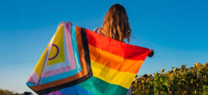 Read more about the article Iniciativas LGBTQIAPN+ avançam às vésperas da Conferência Nacional