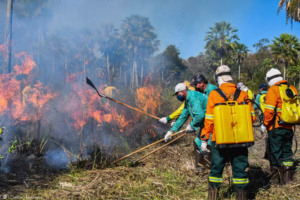 Read more about the article Governo quer usar R$ 150 mi do Fundo Amazônia para combater incêndios no Cerrado e Pantanal