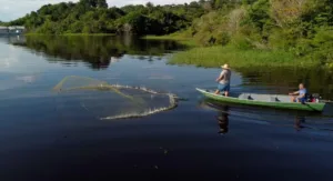 Leia mais sobre o artigo Pescadores relatam escassez de peixes mesmo com cheia do Rio Negro, em Manaus