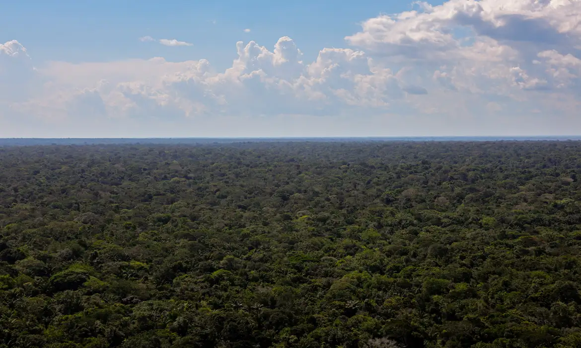 You are currently viewing Organizações sociais propõem plano para investimentos na Amazônia