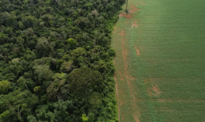 Leia mais sobre o artigo Brasil apresenta soluções de financiamento climático em Nova York