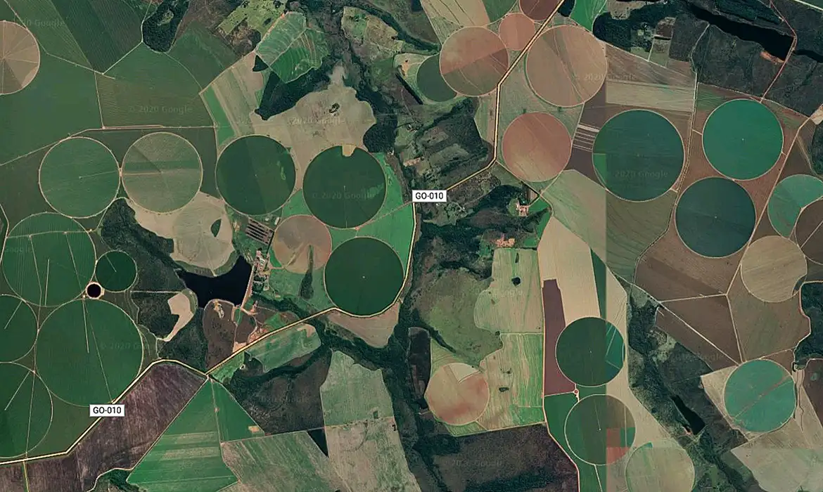 No momento, você está visualizando Cerrado brasileiro perdeu 28% da vegetação nativa em 40 anos