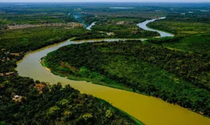 Leia mais sobre o artigo Lula sanciona Estatuto do Pantanal com vetos para reforçar proteção do bioma