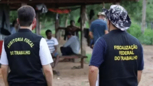 Leia mais sobre o artigo Quatro empregadores do Amazonas estão na ‘Lista Suja’ do trabalho análogo à escravidão; veja quem são