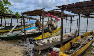 Leia mais sobre o artigo Início do defeso da piracema restringe pesca comercial no país