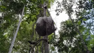 Leia mais sobre o artigo Sistema de cabos da Embrapa promete reduzir em até 80% de esforço físico no transporte de produtos na Amazônia